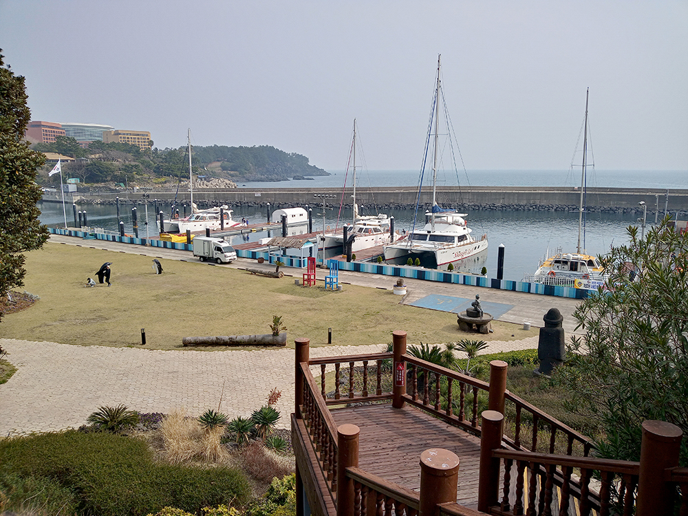 올레8코스 월평아왜낭목쉼터에서~대평포구까지