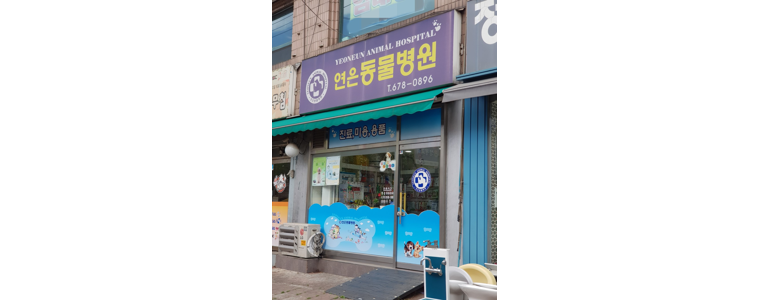 부천 오정구 동물병원