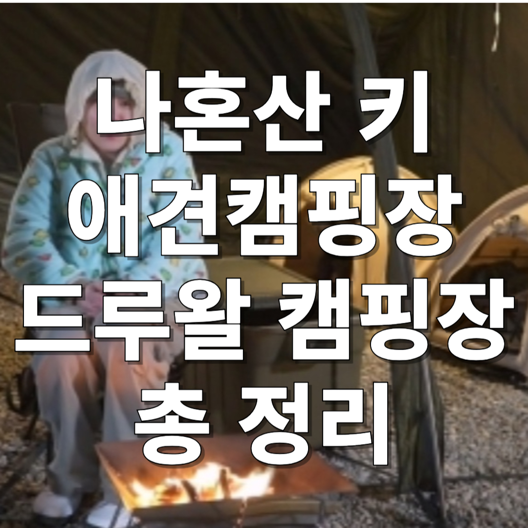 드루왈 애견캠핑장