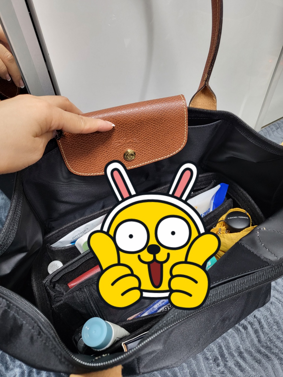 롱샴 라지백