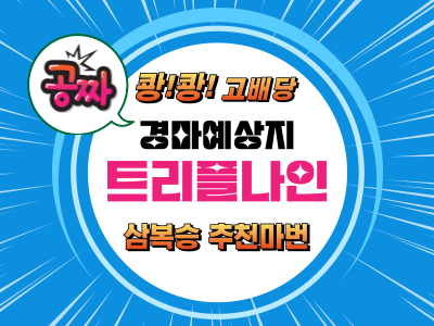 고배당 삼복승 추천마권 트리플나인 무료 경마예상지