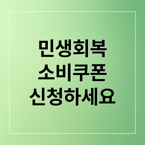 민생회복 소비쿠폰