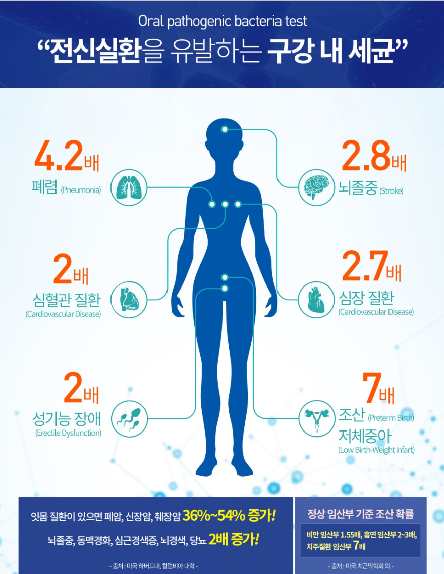 구강 건강 관리로 심혈관 질환과 치매를 예방하는 방법 관련 이미지