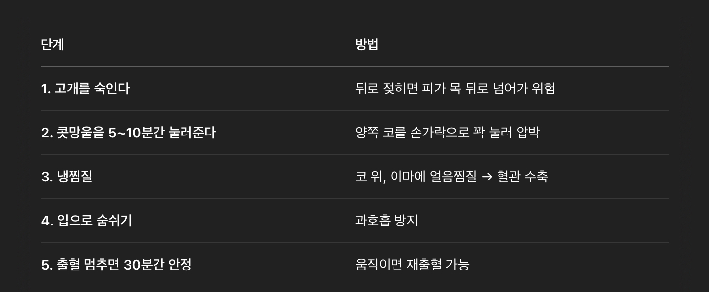 코피 응급 처치 방법 (꼭 기억하세요!)