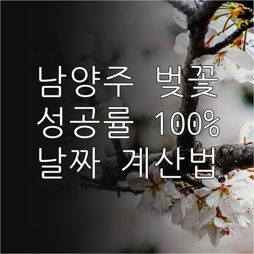 남양주 벚꽃 나들이 준비물 및 실패 ..