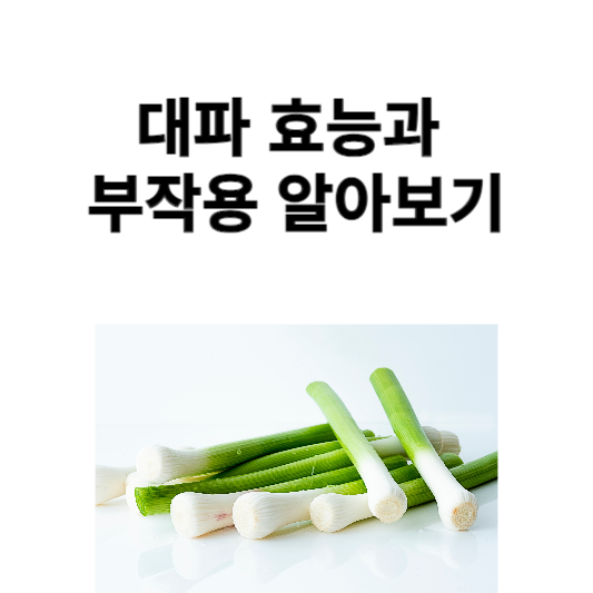 대파 효능과 부작용