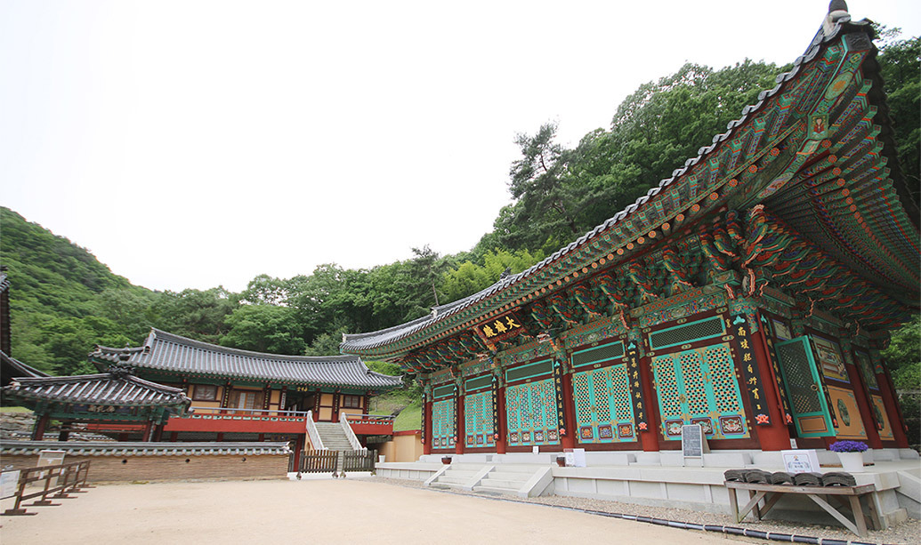 통도사 홍매화 이미지