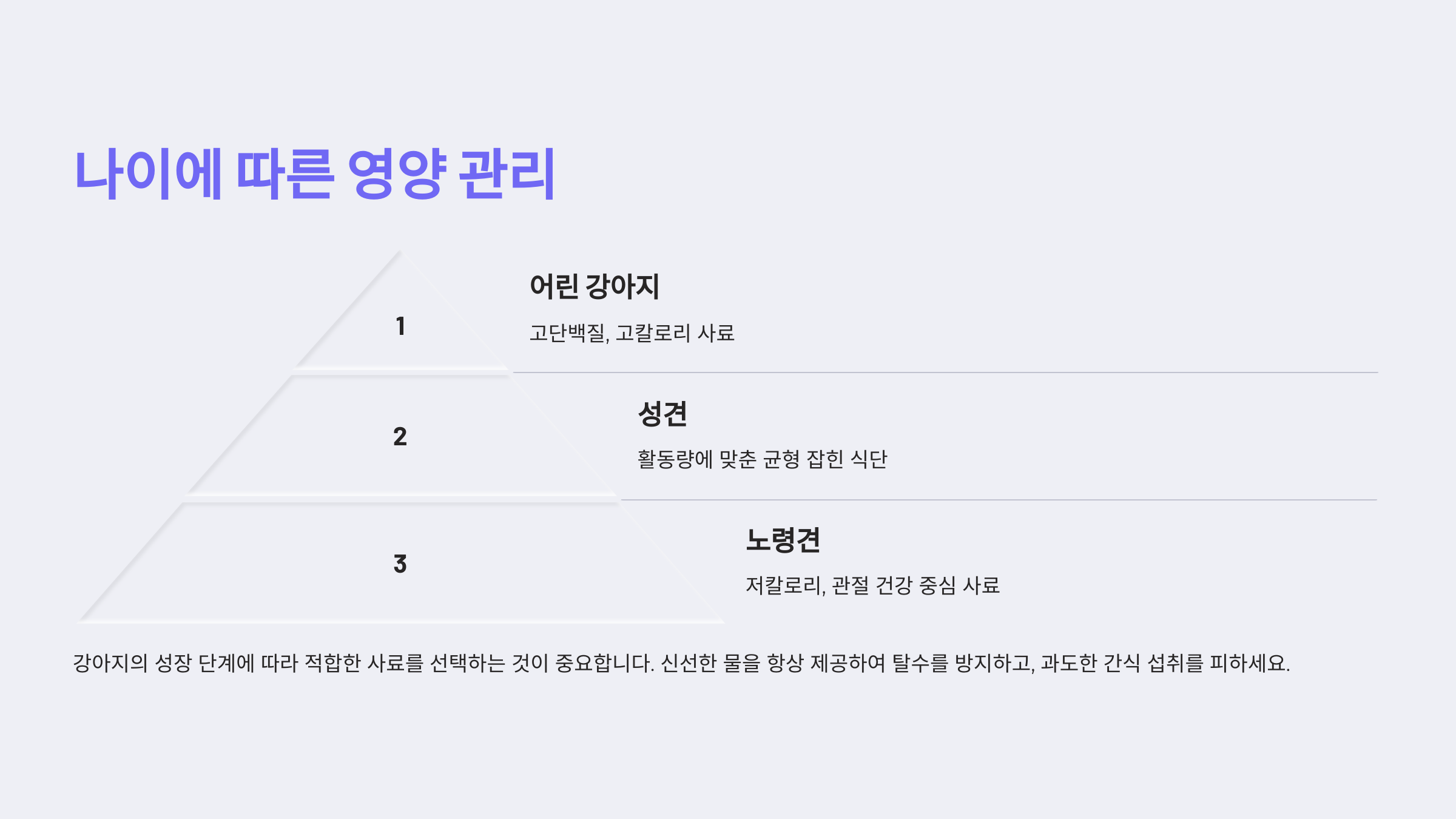 나이에 따른 영양 관리