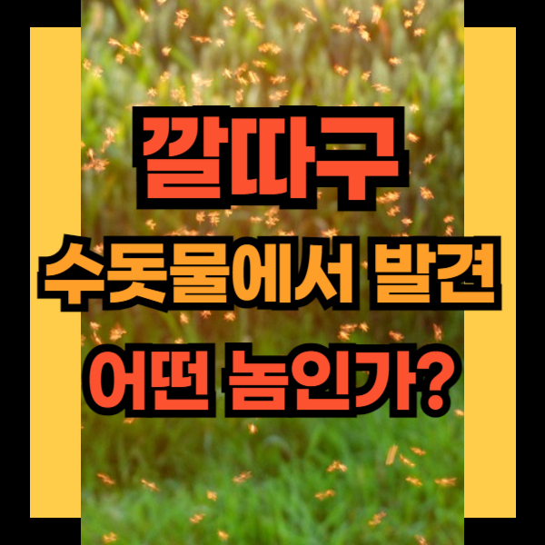깔따구