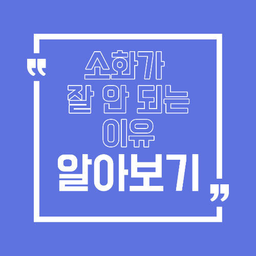 소화가 잘 안 되는 이유 식사 습관에서 점검해야 할 포인트