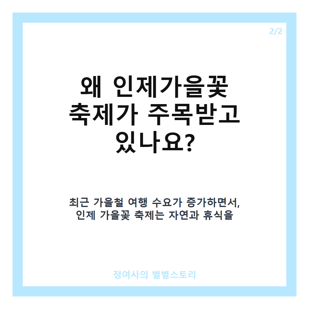 인제가을꽃 축제 추천 최신 정보와 함께하는 가을 여행 가이드 카드뉴스 2