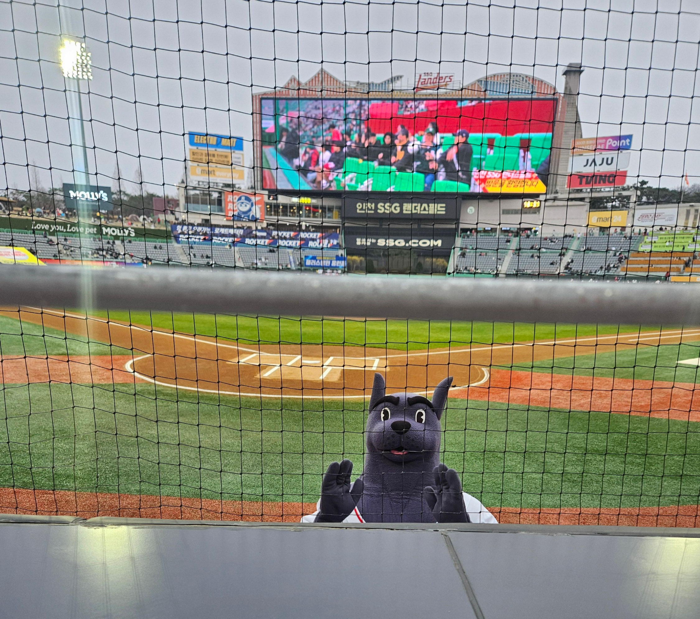 인천 문학경기장 야구 데이트 완벽 가이드: SSG 랜더스필드 명당부터 먹거리까지