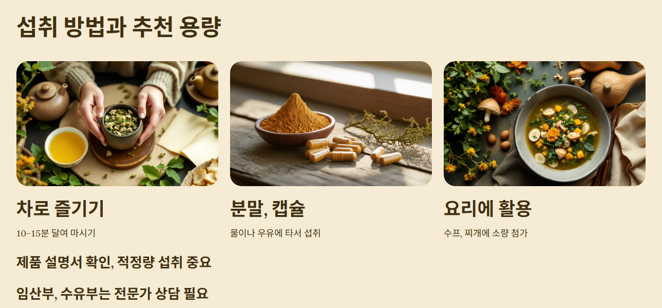 다양한 섭취 방법과 추천 용량, 동충하초 효능과 먹는 방법, 부작용