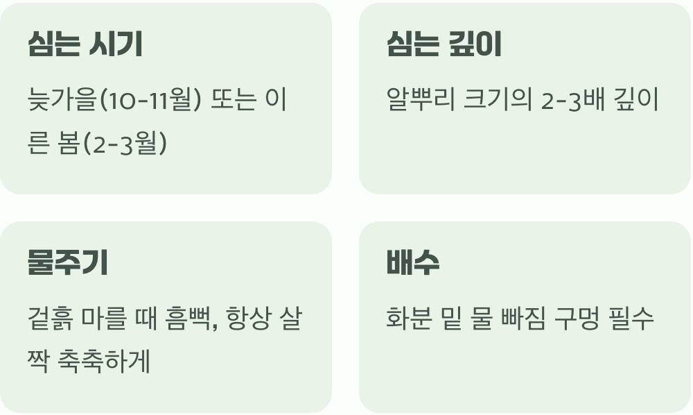 심고 돌보는 법