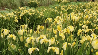 태안 청산수목원 여행지