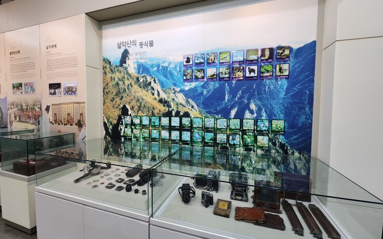 설악산의 동식물