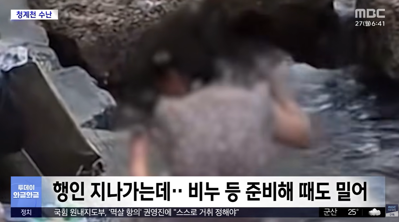청계천 동전 줍기 목욕 법적 처벌 신고 방법 절도죄