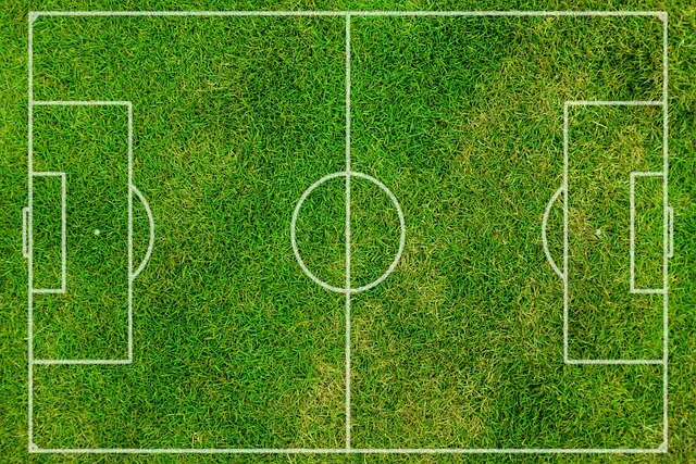 아시안컵 한국 vs 이라크 평가전 중계 보러가기