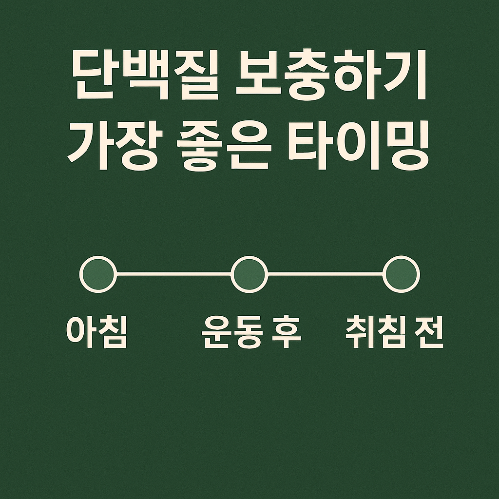 단백질 보충 타이밍 - 사진