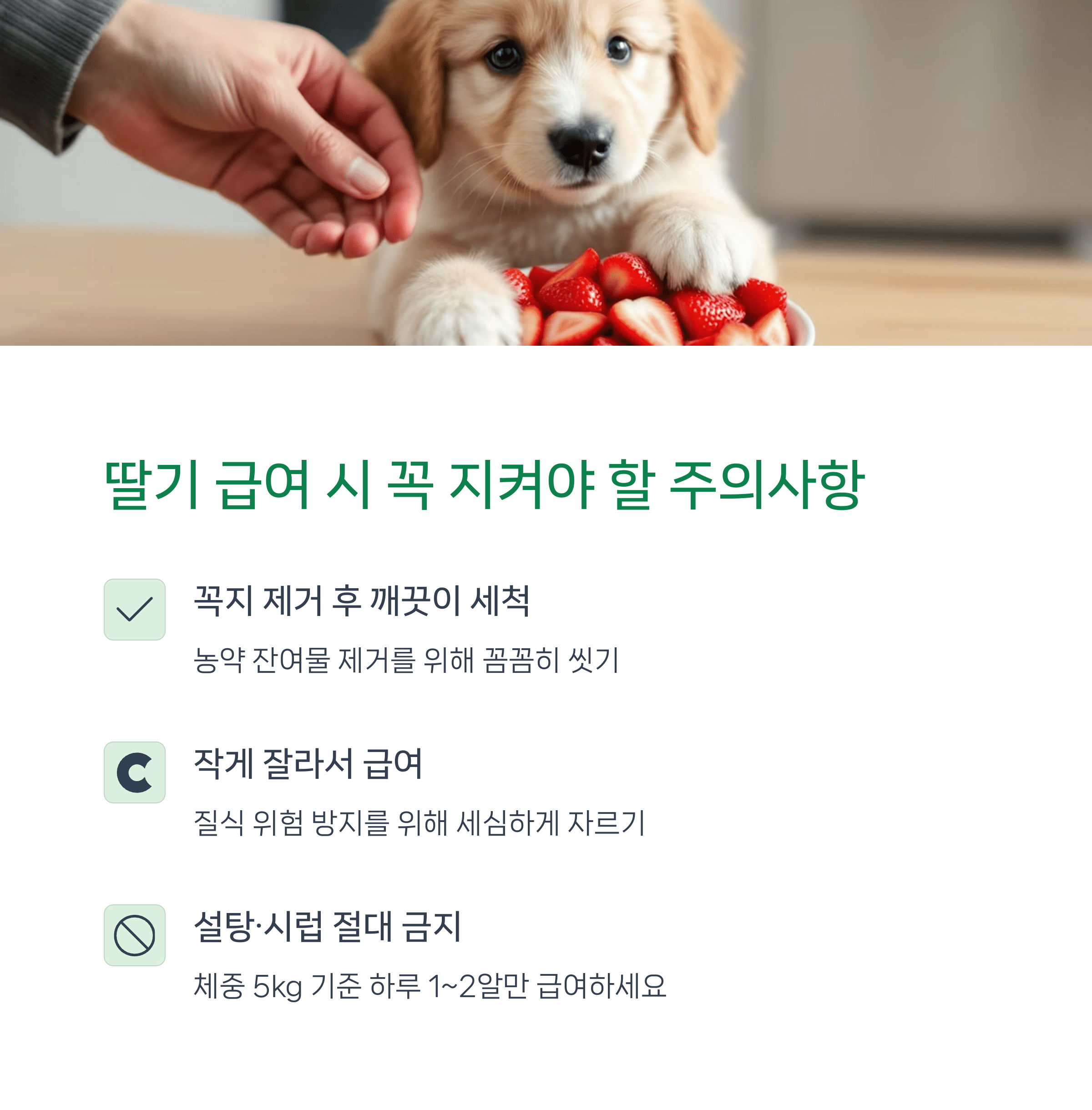강아지딸기급여