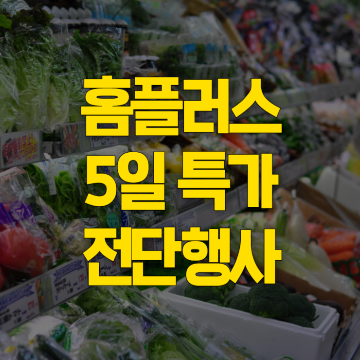 홈플러스-인터넷쇼핑몰-대표사진