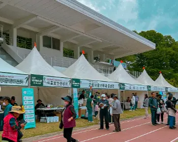 담양 대나무축제_17
