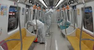 빈대 물린자국 : 빈대 퇴치법, 증상, 예방법