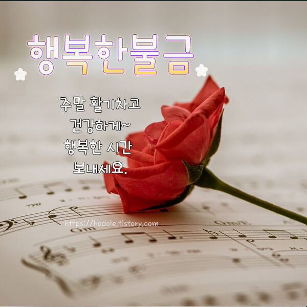 불금-이미지
