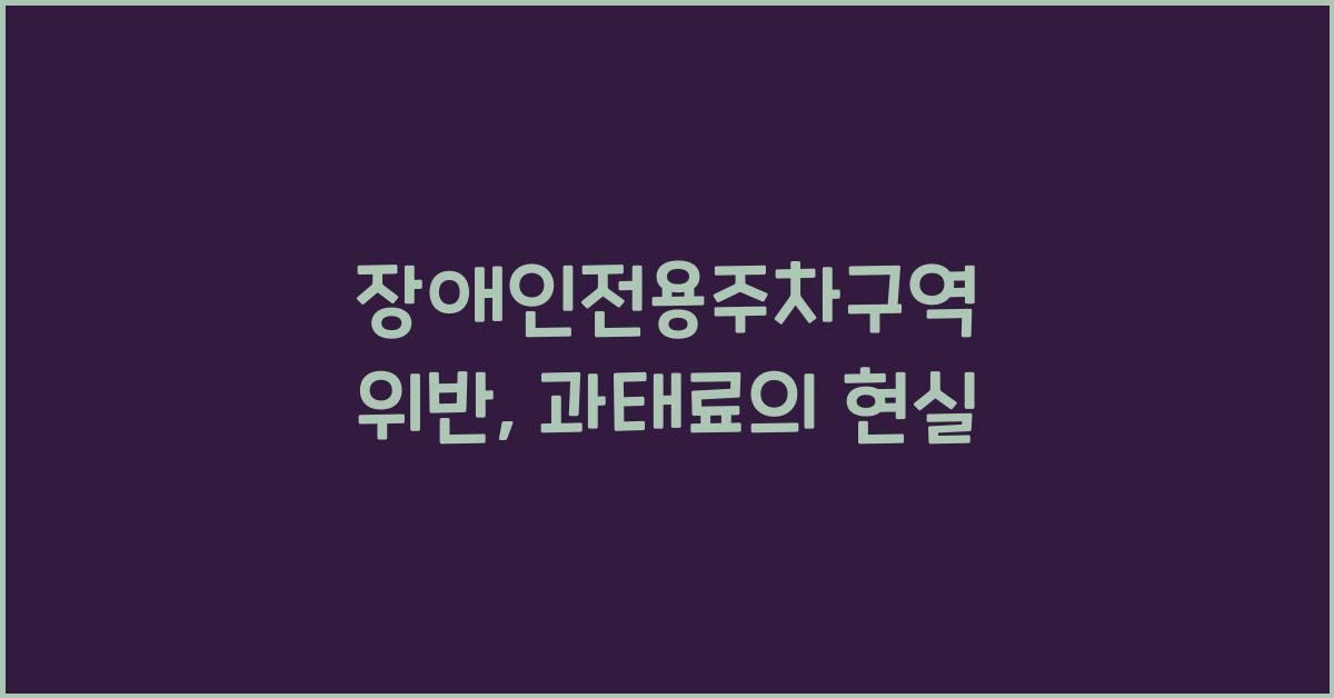 장애인전용주차구역 위반