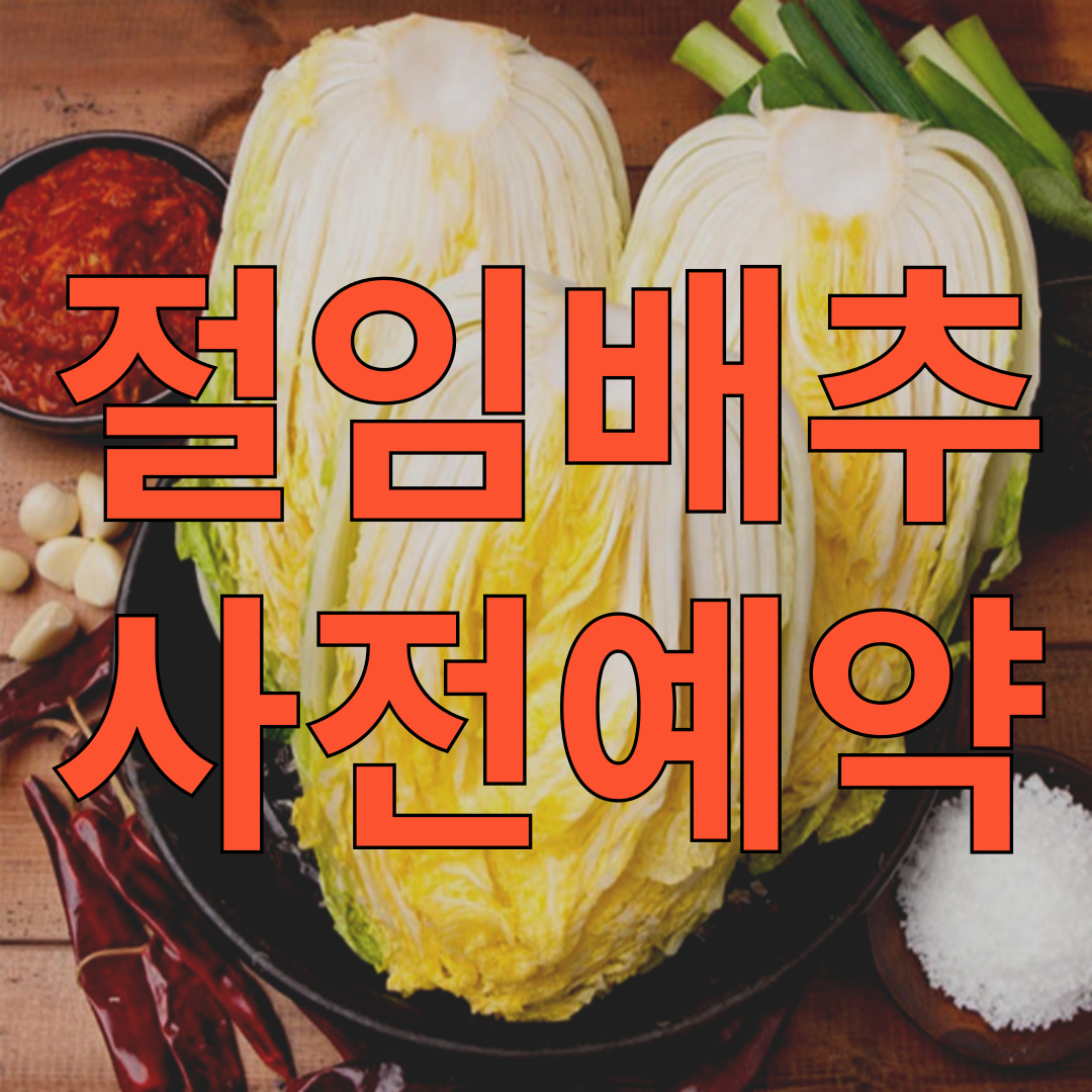 아로스 팝업