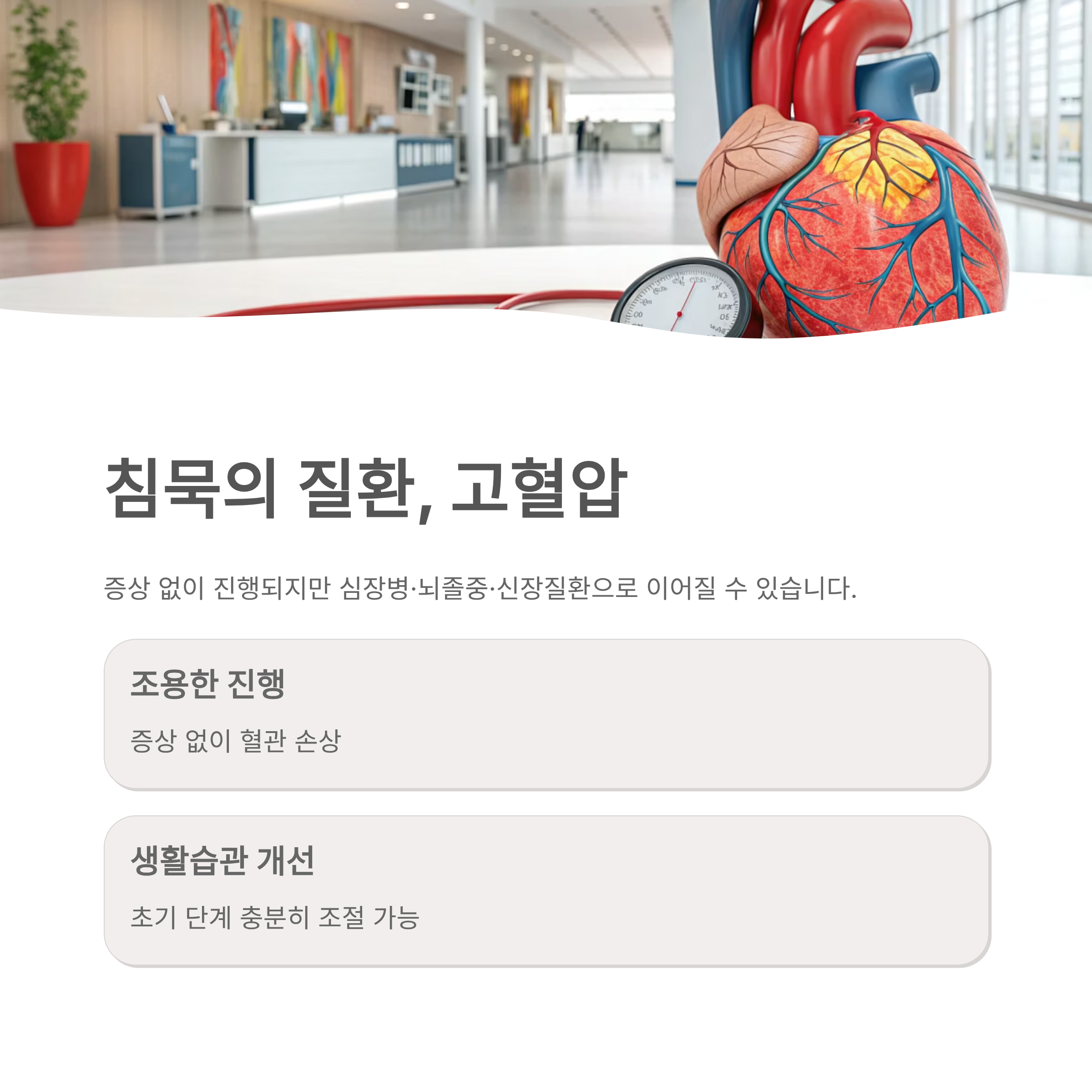 고혈압 낮추는 방법 ❘ 약 없이 혈압 내리는 식습관·운동·생활습관 총정리