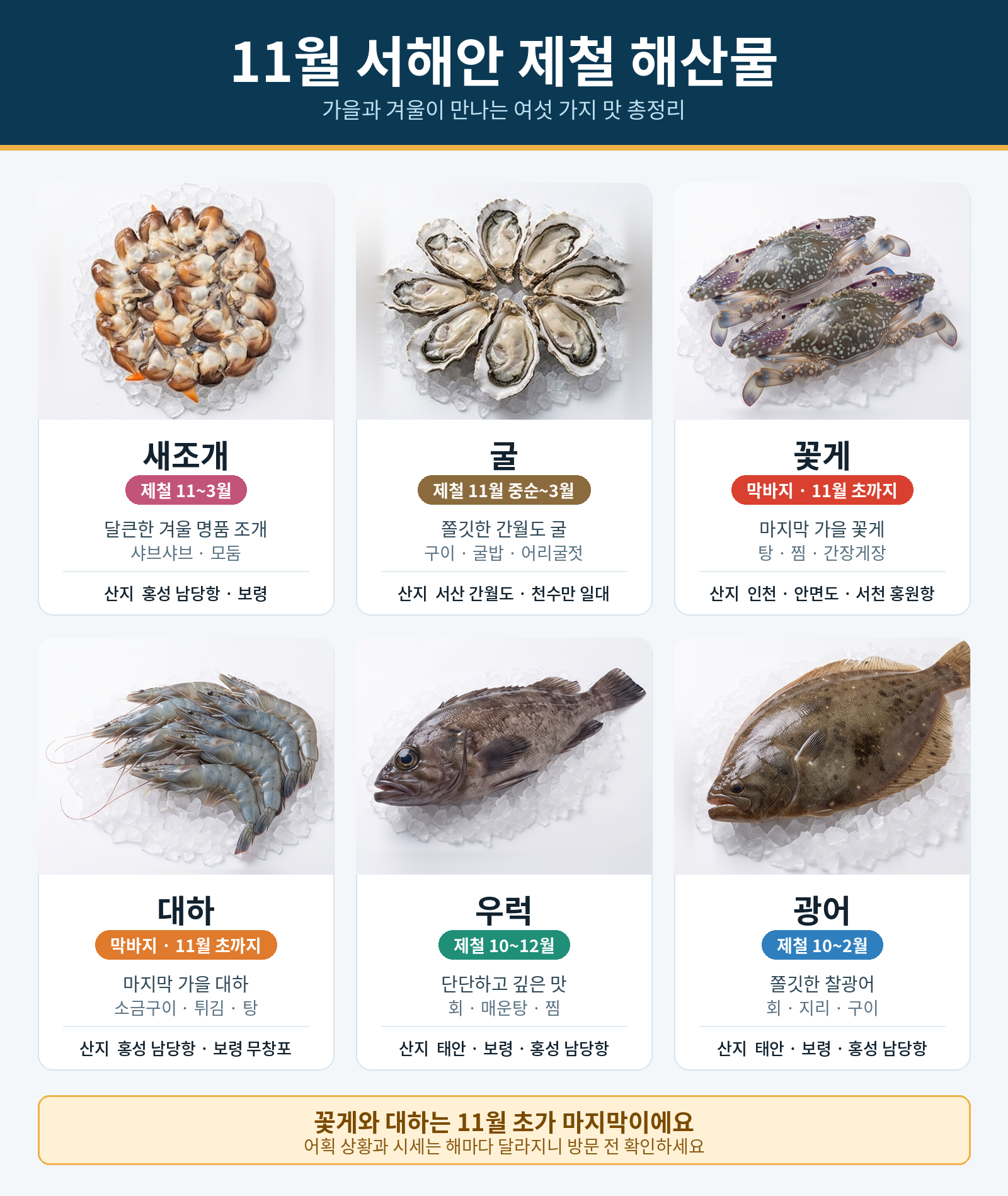 11월 서해 제철 해산물