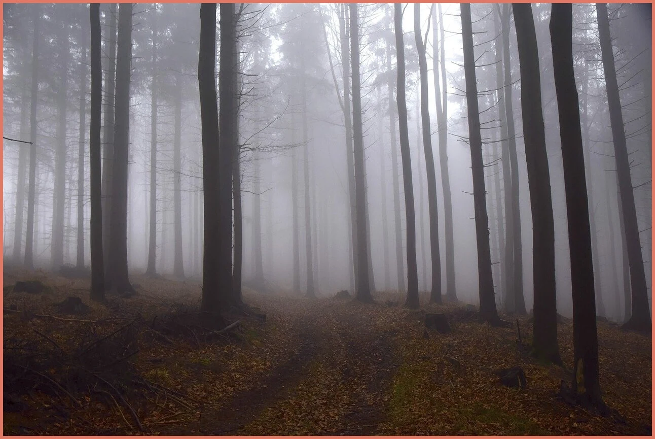 새마을금고 예금금리