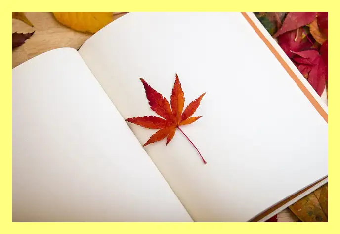 한강 소년이 온다