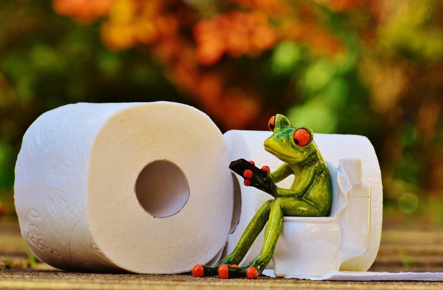 건강한 배변습관 장운동 개선비결(식이요법, 루틴)