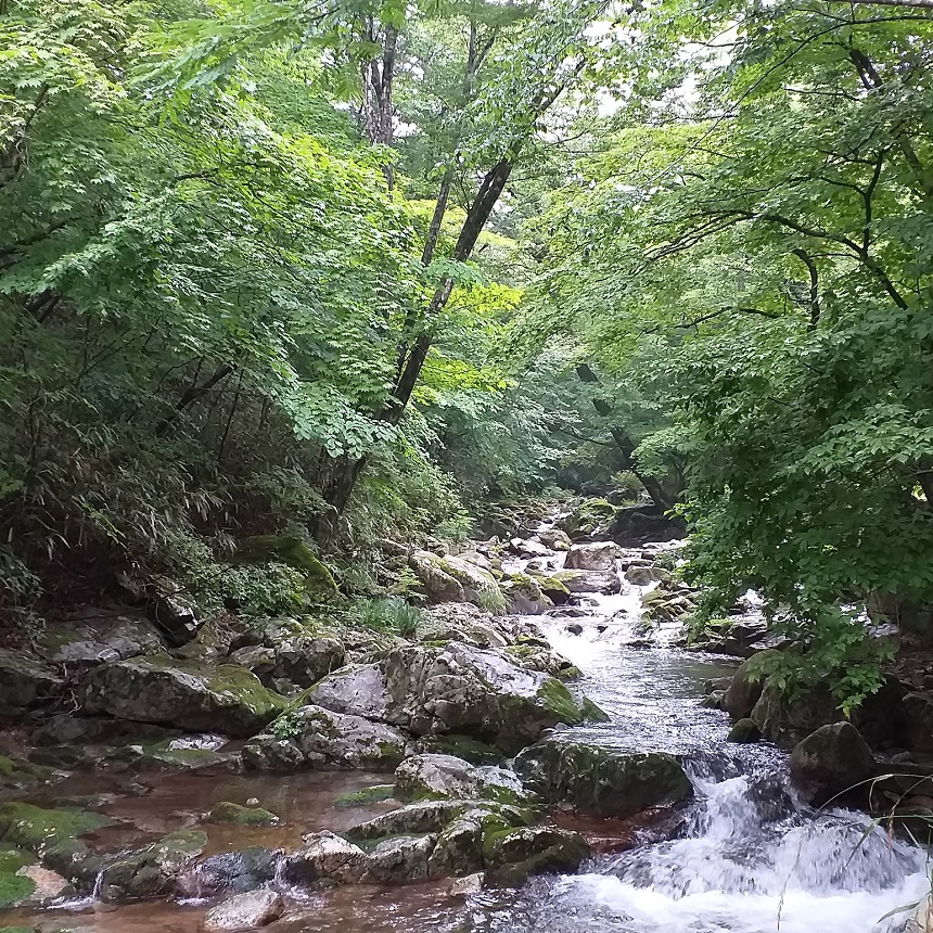 조계산보리밥집