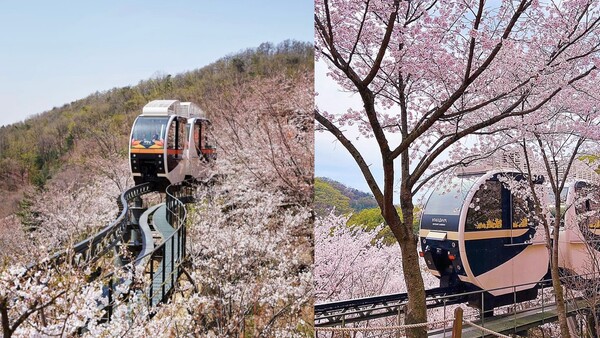 화담숲 예약 취소