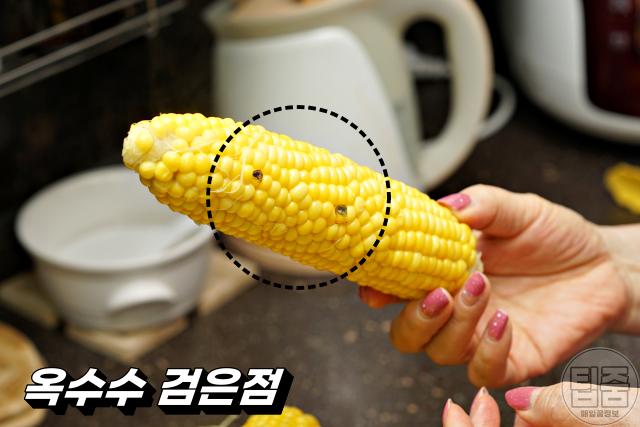 초당 옥수수 보관법,옥수수 검은색 검은점,팁줌