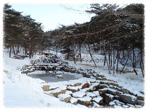 오도산자연휴양림