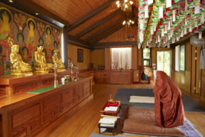 제4회 사찰음식 대축제 서울서 열린다 체험부터 시식까지