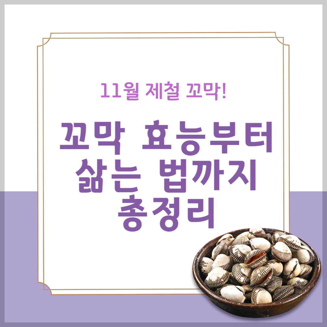 11월 제철 꼬막! 꼬막 효능부터 삶는 법까지 총정리