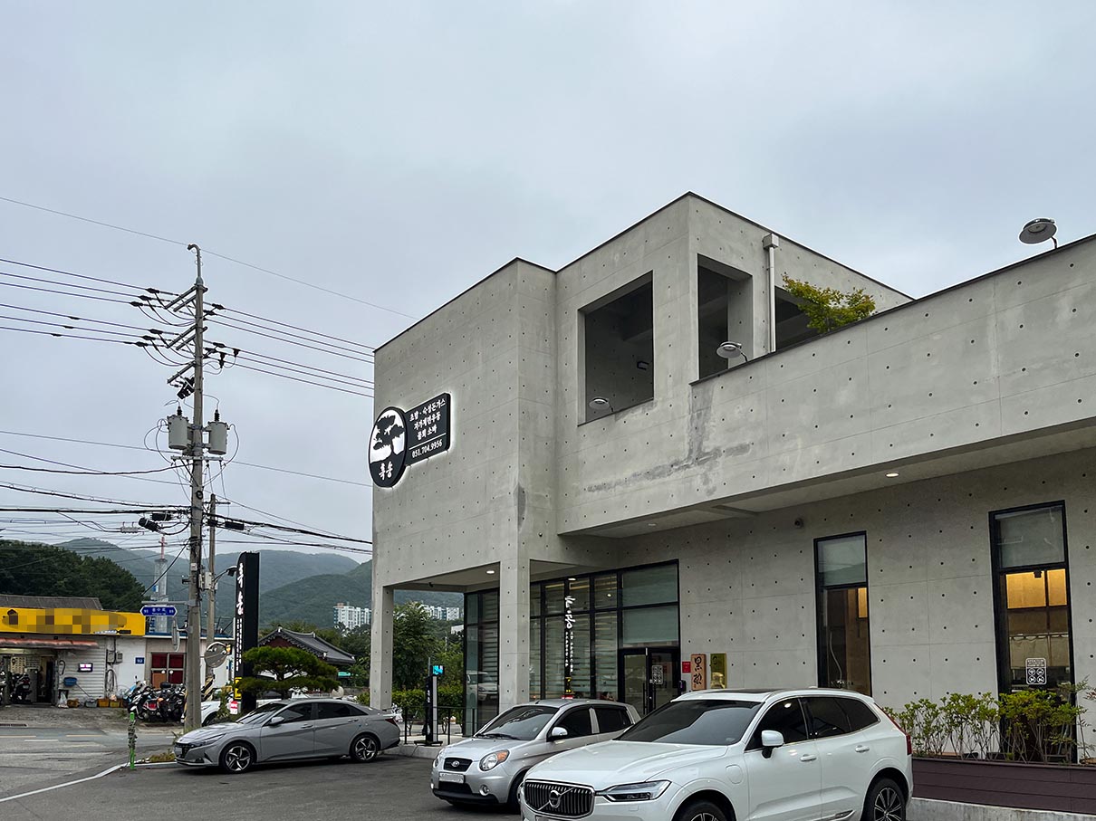 정관 흑송