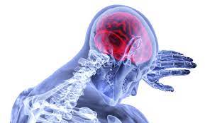 뇌 건강 영양제 기억력 이상 신호 늦기 전에 알아야할 것