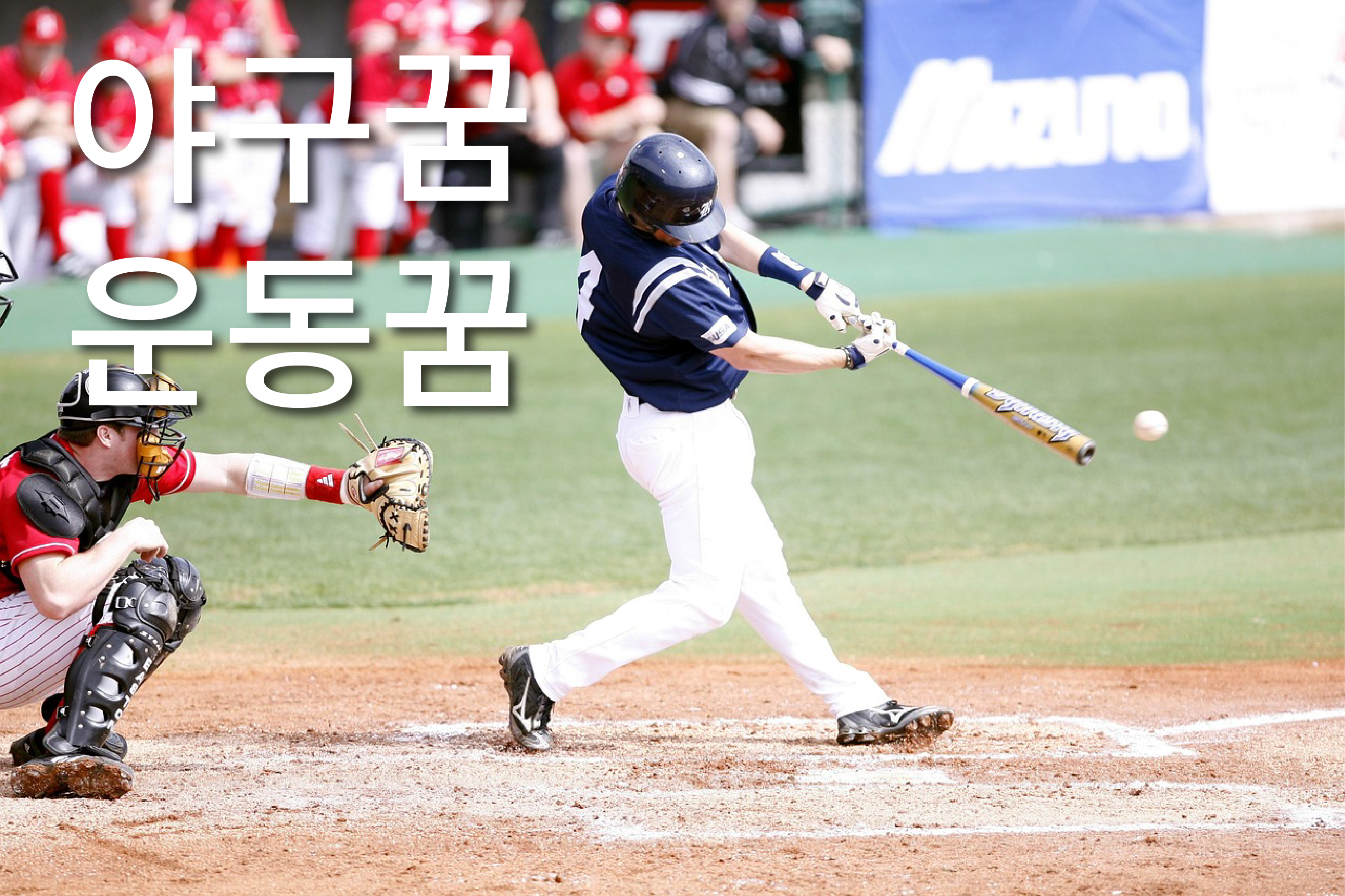 야구하는꿈해몽