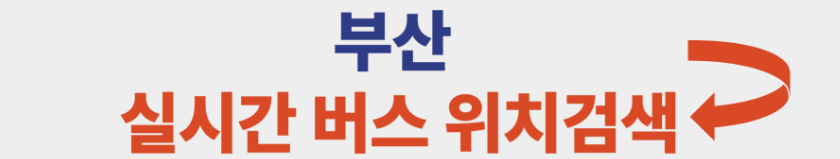 부산 실시간 버스위치검색