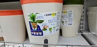 다이소 화분 활용 배수구멍 만들기 받침 사용 흙선택 예산절약 팁_2