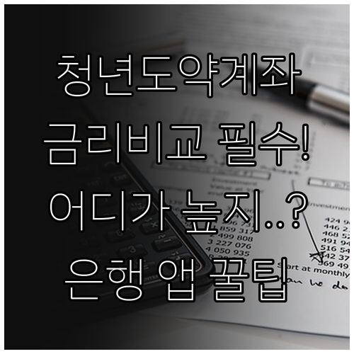청년도약계좌 금리 높은 은행 찾는 법..
