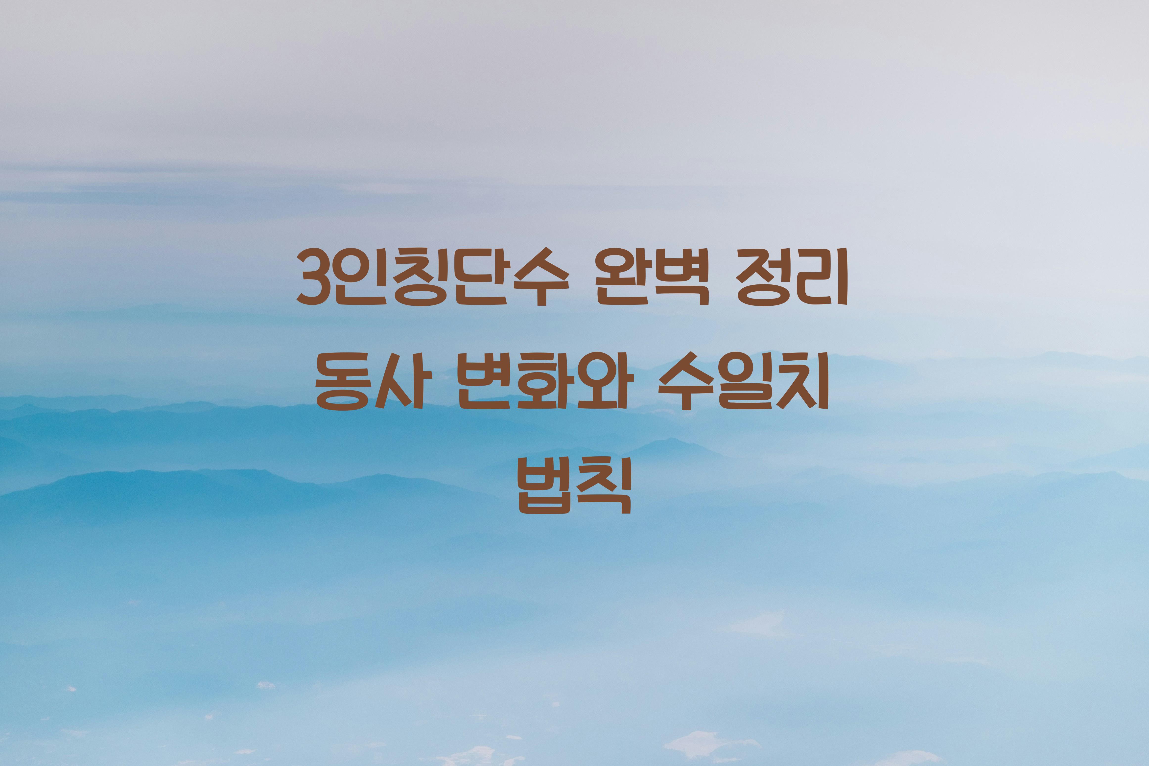 3인칭단수