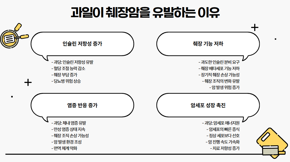 과일이 췌장암을 유발하는 이유