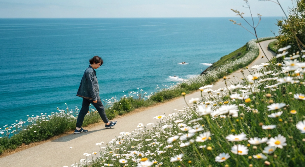 전북 부안 변산 마실길, 송포항 샤스타데이지 명소